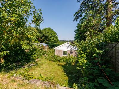 Picture 28